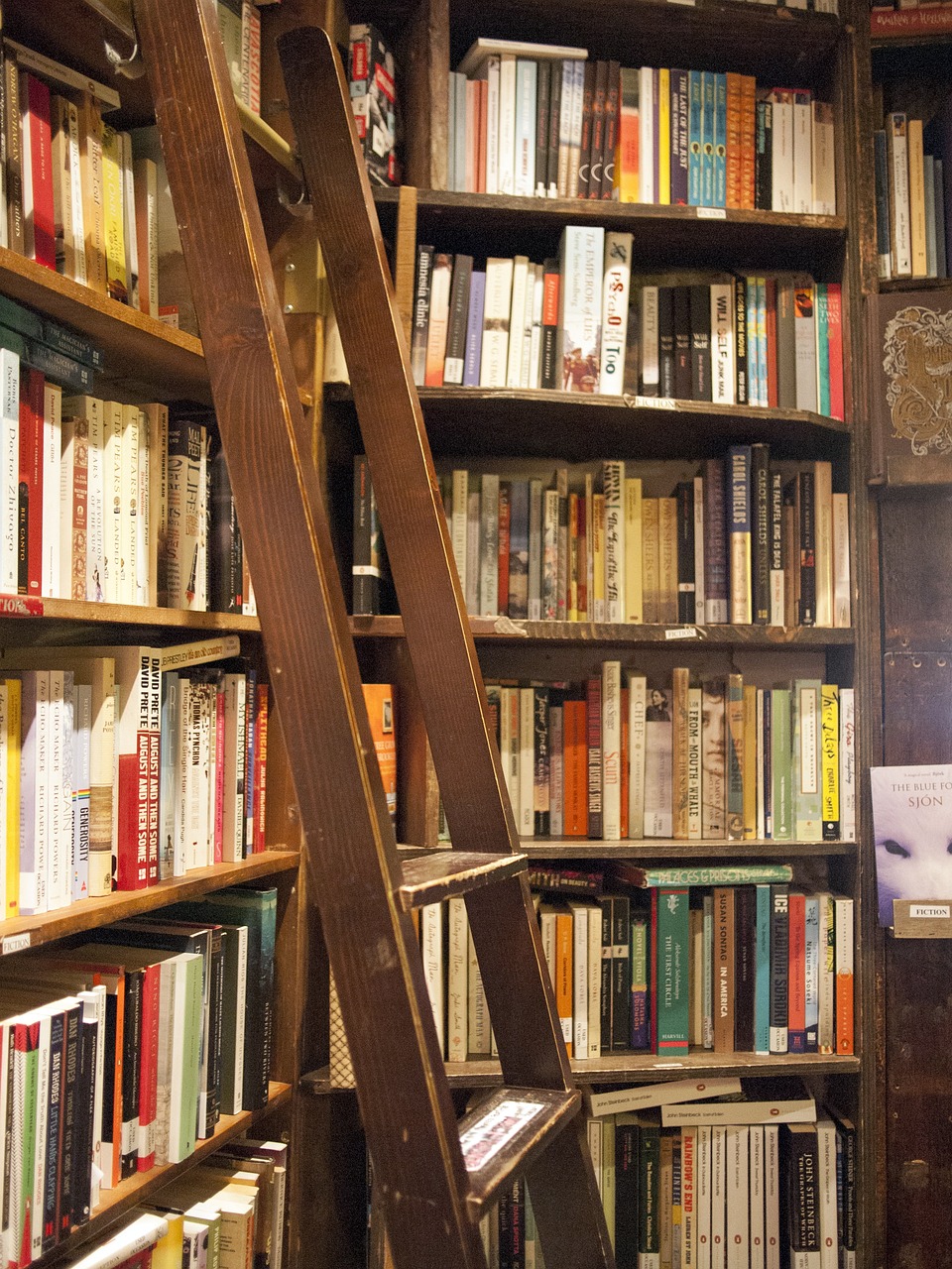 Estante de Livros
